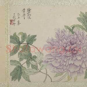 清恽寿平画花卉 册 徐家没骨华|4幅|38.88 MB|高清下载