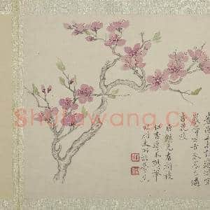 清恽寿平画花卉 册 杏花|3幅|29.68 MB|高清下载