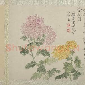 清恽寿平画花卉 册 拟徐崇嗣没骨华|3幅|30.75 MB|高清下载