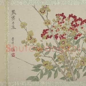 清恽寿平画花卉 册 岁寒二友|3幅|30.92 MB|高清下载