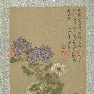 清恽寿平画花卉 册 菊花|3幅|34.19 MB|高清下载