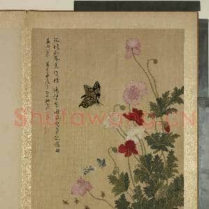 清马元驭画花卉 册 蜂蝶虞美人|1幅|11.37 MB|高清下载