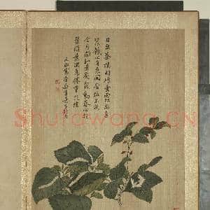 清马元驭画花卉 册 桑椹蚕蛾|1幅|11.88 MB|高清下载