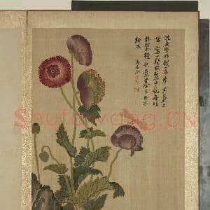 清马元驭画花卉 册 罂粟蜻蜓|1幅|11.18 MB|高清下载