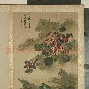 清马元驭画花卉 册 菱角青蛙|1幅|12.53 MB|高清下载