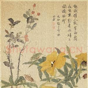 清马元驭画花卉 册 秋葵螽斯|5幅|68.21 MB|高清下载