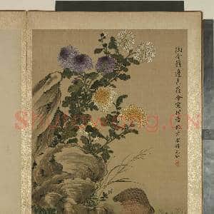 清马元驭画花卉 册 菊花鹌鹑|1幅|11.88 MB|高清下载