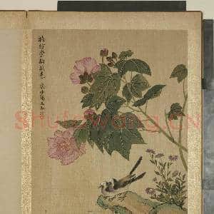 清马元驭画花卉 册 芙蓉鹡鸰|1幅|12.13 MB|高清下载