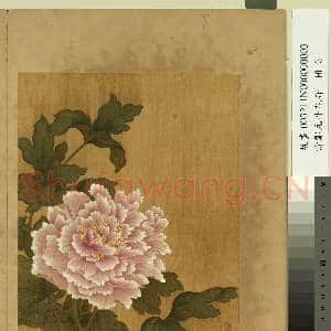 清邹元斗花卉 册 牡丹|1幅|11.35 MB|高清下载