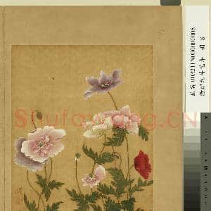 清邹元斗花卉 册 虞美人|1幅|10.66 MB|高清下载