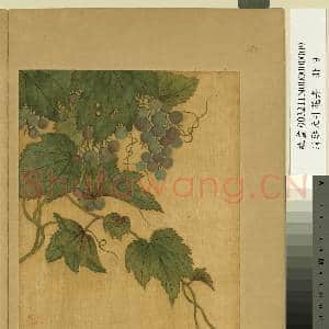 清邹元斗花卉 册 葡萄|1幅|10.74 MB|高清下载