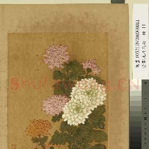 清邹元斗花卉 册 菊|1幅|11.17 MB|高清下载