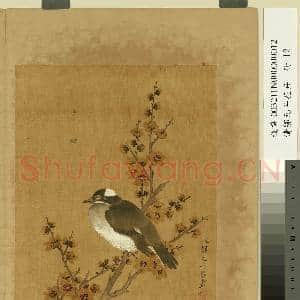 清邹元斗花卉 册 蜡梅|1幅|10.53 MB|高清下载