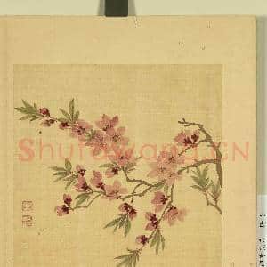 清邹元斗画四季花卉 册 桃花|1幅|7.81 MB|高清下载