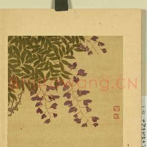 清邹元斗画四季花卉 册 紫藤|1幅|7.5 MB|高清下载