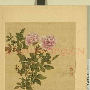清邹元斗画四季花卉 册 月季玫瑰|1幅|7.54 MB|高清下载