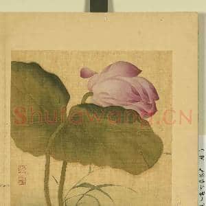 清邹元斗画四季花卉 册 莲荷|1幅|7.61 MB|高清下载