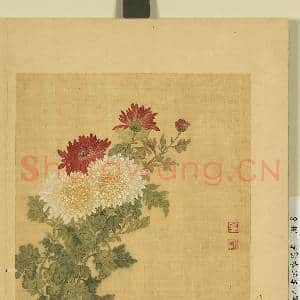 清邹元斗画四季花卉 册 菊|1幅|7.64 MB|高清下载