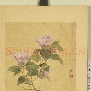 清邹元斗画四季花卉 册 茶花|1幅|7.48 MB|高清下载
