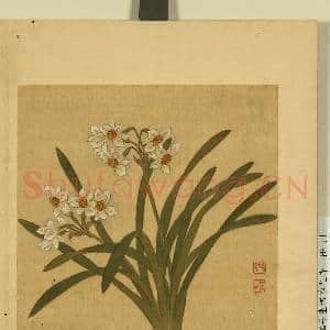 清邹元斗画四季花卉 册 水仙|1幅|7.41 MB|高清下载