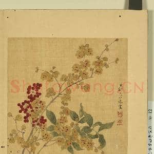 清邹元斗画四季花卉 册 蜡梅|1幅|7.86 MB|高清下载