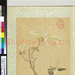 清杨晋画花鸟 册 木兰翠雀|1幅|11.88 MB|高清下载