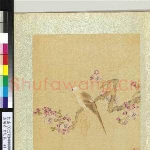 清杨晋画花鸟 册 杏花黄脰|1幅|12.02 MB|高清下载