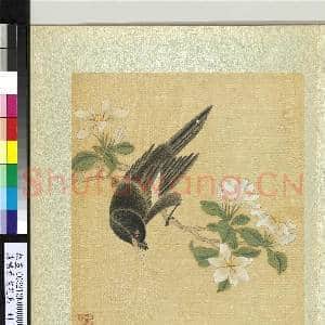 清杨晋画花鸟 册 栀子花鸜鹆|1幅|12.34 MB|高清下载