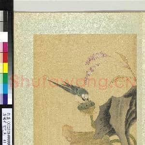 清杨晋画花鸟 册 莲房鹡鸰|1幅|12.41 MB|高清下载