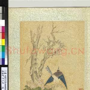 清杨晋画花鸟 册 古木蜂窠|1幅|12.46 MB|高清下载