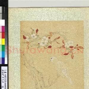 清杨晋画花鸟 册 梨花白雀|1幅|12.47 MB|高清下载