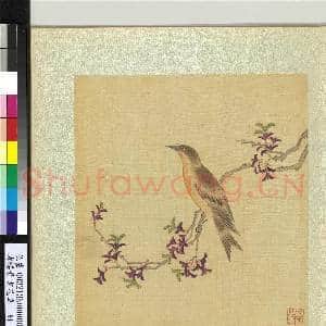 清杨晋画花鸟 册 枝上画眉|1幅|11.87 MB|高清下载
