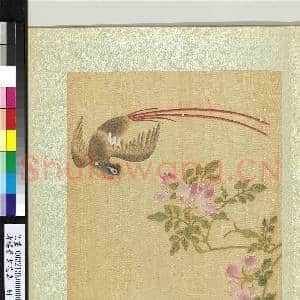 清杨晋画花鸟 册 蔷薇绶带鸟|1幅|12.53 MB|高清下载