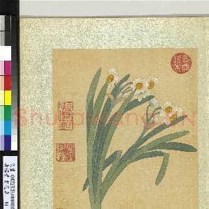 清杨晋画花鸟 册 水仙花|1幅|12.06 MB|高清下载