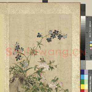 清蒋廷锡写生 册 莲花翠雀|1幅|11.85 MB|高清下载