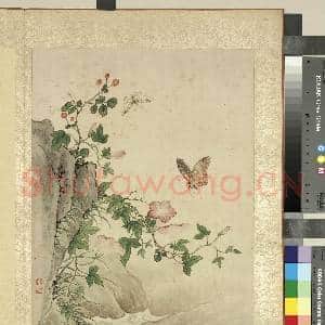 清蒋廷锡写生 册 牵牛花|1幅|11.57 MB|高清下载