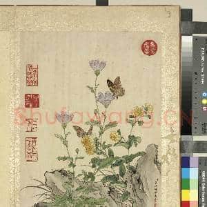 清蒋廷锡写生 册 野菊剪绒花|1幅|11.85 MB|高清下载