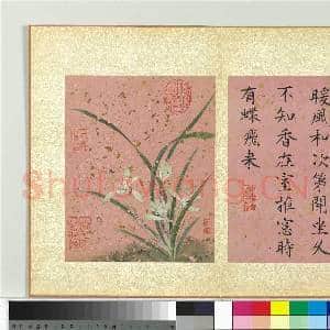 清蒋廷锡画群芳撷秀 册 兰花|1幅|10.49 MB|高清下载