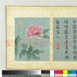 清蒋廷锡画群芳撷秀 册 牡丹|1幅|10.46 MB|高清下载