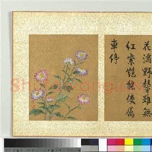 清蒋廷锡画群芳撷秀 册 野菊|1幅|11.22 MB|高清下载