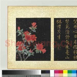 清蒋廷锡画群芳撷秀 册 杜鹃|1幅|10.29 MB|高清下载