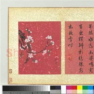 清蒋廷锡画群芳撷秀 册 梅花|1幅|10.42 MB|高清下载