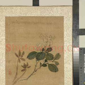 清蒋廷锡画花卉 册 兰花栀子花|1幅|11.78 MB|高清下载
