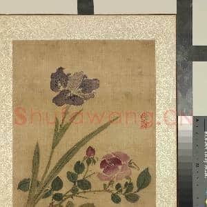 清蒋廷锡画花卉 册 蔷薇鸳尾|1幅|11.93 MB|高清下载