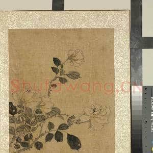 清蒋廷锡画花卉 册 月季|1幅|12.05 MB|高清下载