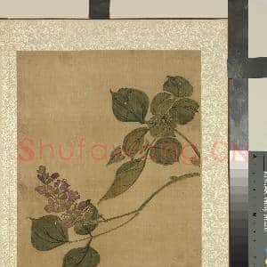 清蒋廷锡画花卉 册 紫薇|1幅|11.97 MB|高清下载