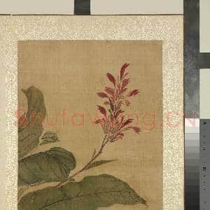 清蒋廷锡画花卉 册 美人蕉|1幅|11.91 MB|高清下载