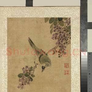 清蒋廷锡画花卉 册 紫薇白头|1幅|12 MB|高清下载