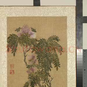 清蒋廷锡画花卉 册 合欢(粉扑花)|1幅|12.48 MB|高清下载