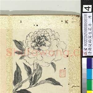清蒋廷锡写生花卉 册 芍药|1幅|10.84 MB|高清下载
